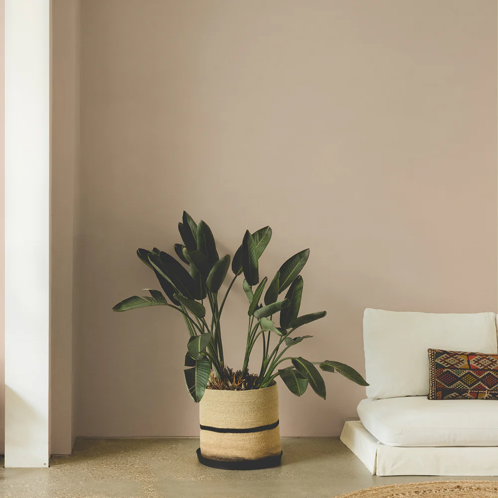 Buon Fresco Sample - Image 5