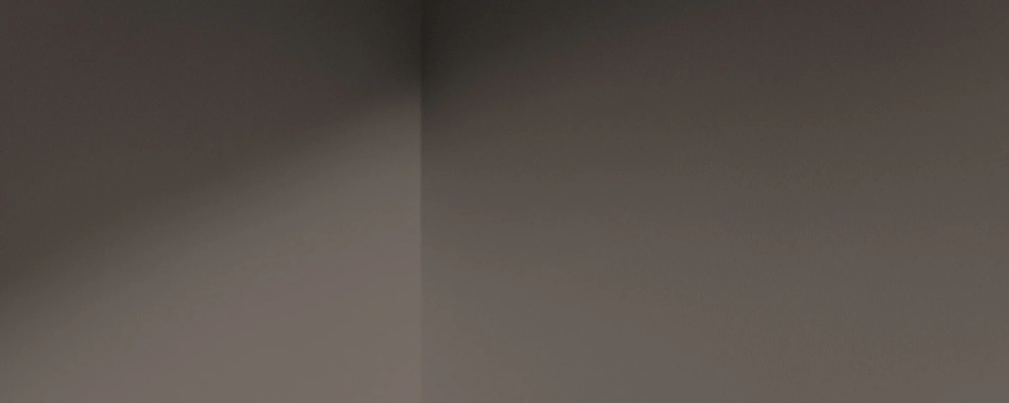 Cold Brew - Image 10