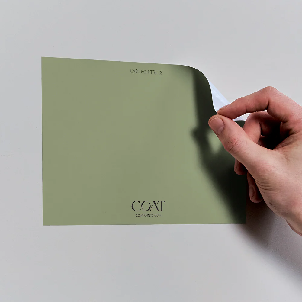 East For Trees - Image 5