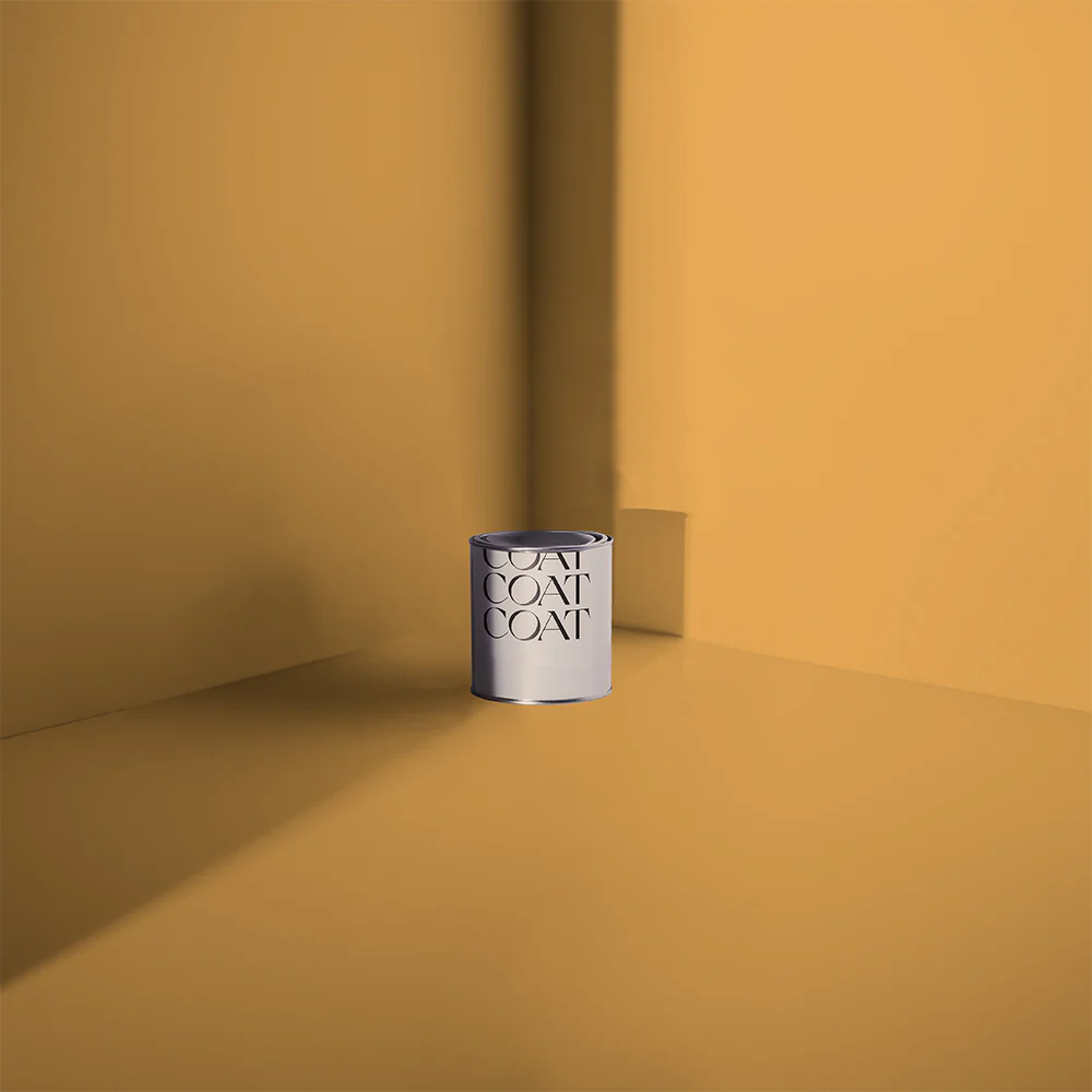House Points - Image 10