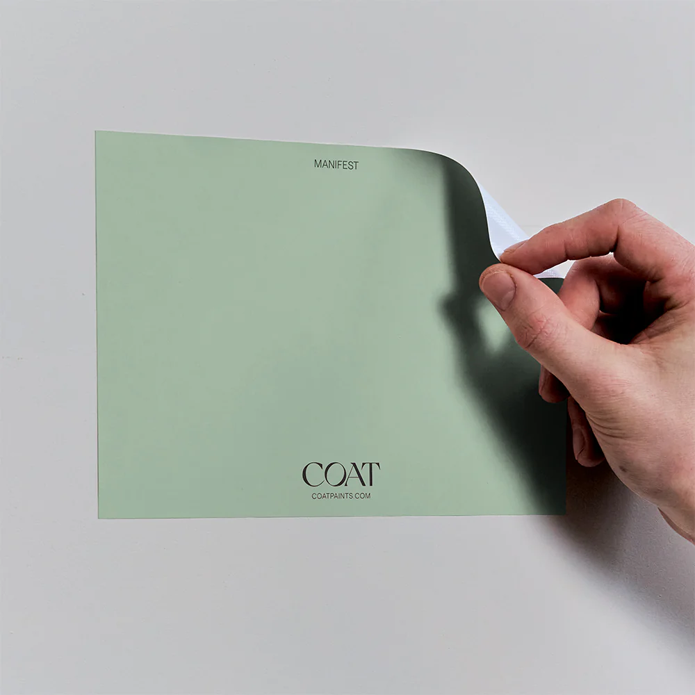 Manifest - Image 8