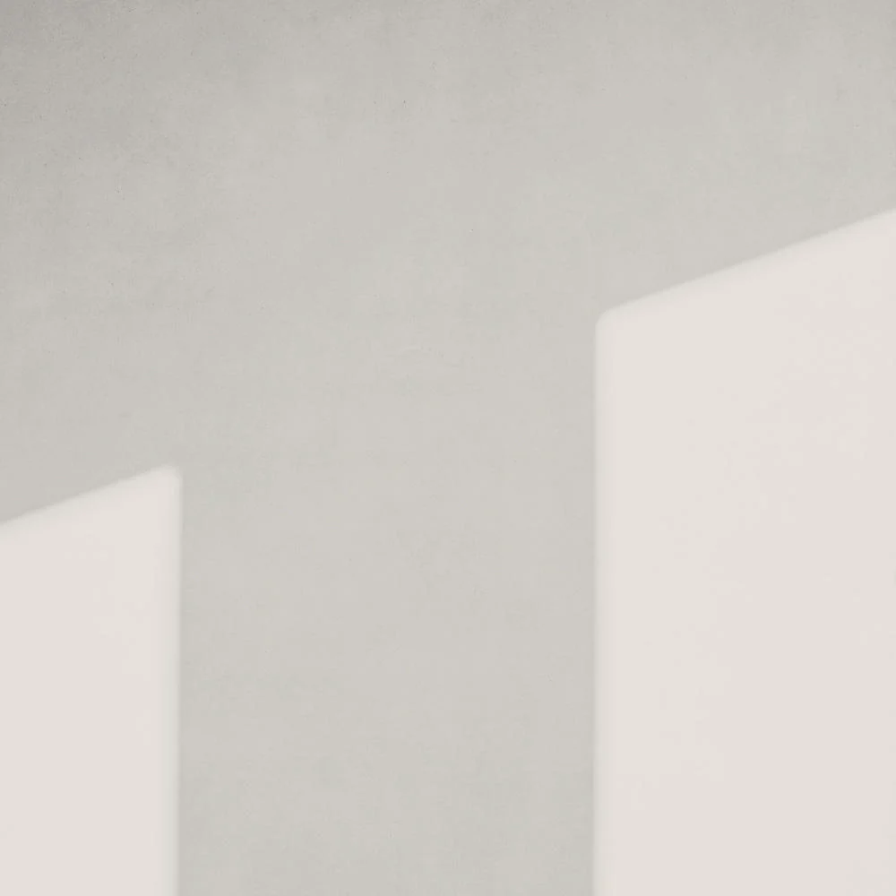 Pablo - Image 17