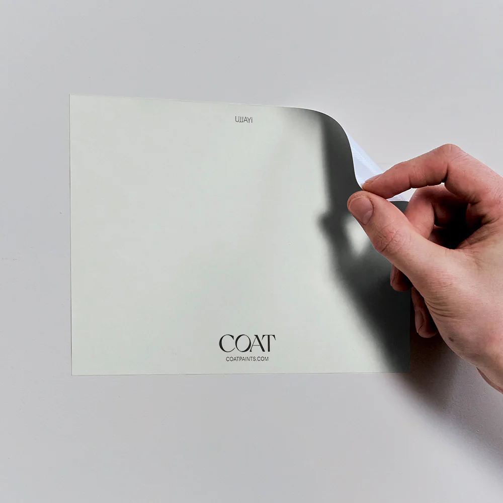 White Pack - Image 17
